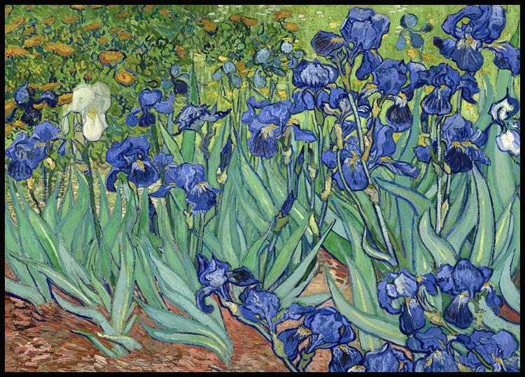 Irises by Van Gogh bipolar mania